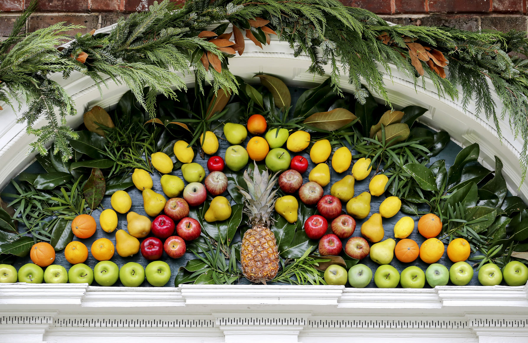 Fruit arch tight.jpg